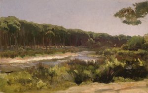 Toskansk landskap (elven Arno ved San Rossore)